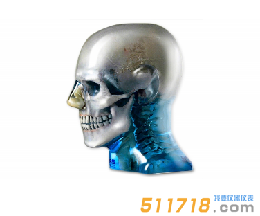 美國(guó)CIRS 711-HN頭部模體