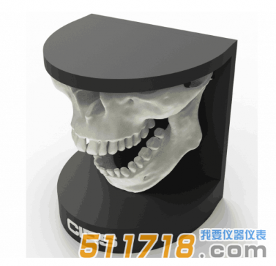 美國CIRS 134200牙科口腔模體