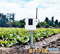 美國Davis 06345CS無線土壤溫濕度站