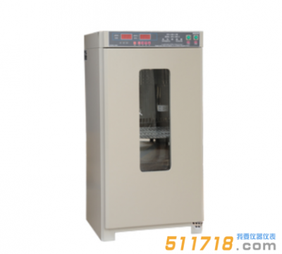 MJX-250B-Z霉菌培養箱