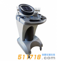 WH290-I低頻電子脈沖紅外儀