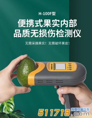 國產H-100F無損檢測儀