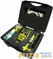 英國(guó)里泰 TMG II 透涂層測(cè)厚儀