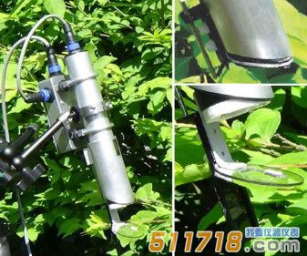 美國OPTI-sciences PSP32在線葉綠素熒光觀測系統